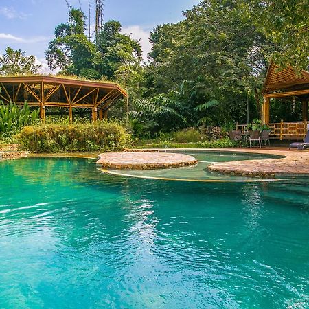 Banana Bamboo Ecolodge อูบาตูบา ภายนอก รูปภาพ